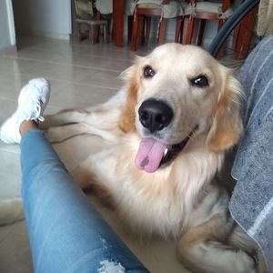 Meet your Posher, Laura fernanda